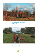 75VorlageNaherholungFotosS1A5Hoch
